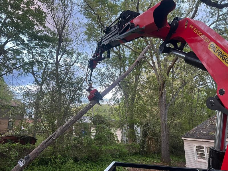 Tanner's Legendary Tree Service - About Us page