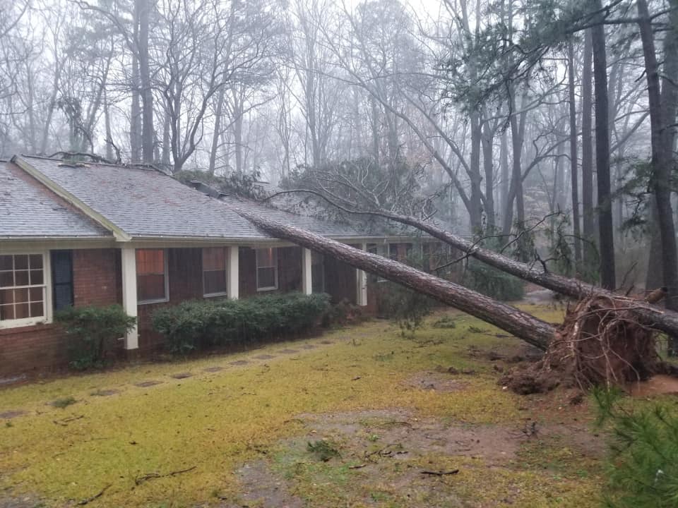storm damage causing trees to fall on house