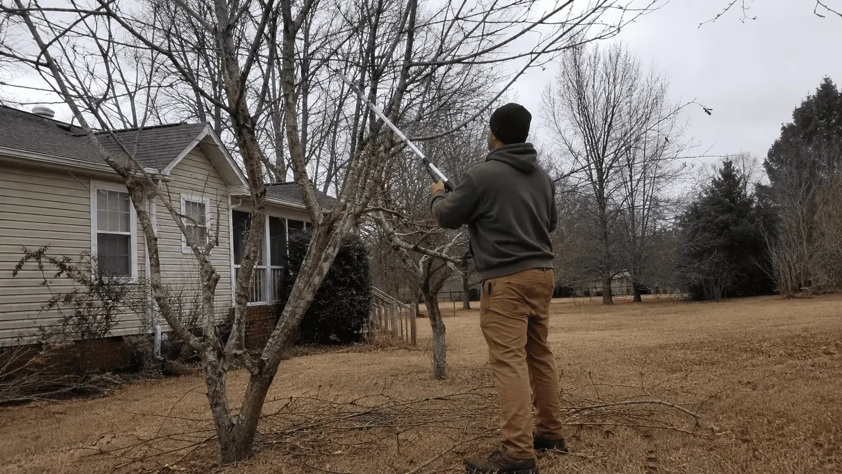 Winter tree pruning in Spartanburg by a professional tree crew.