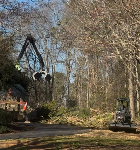 Why Greenville and Spartanburg Trust Tanner's for Hazardous Tree Removal