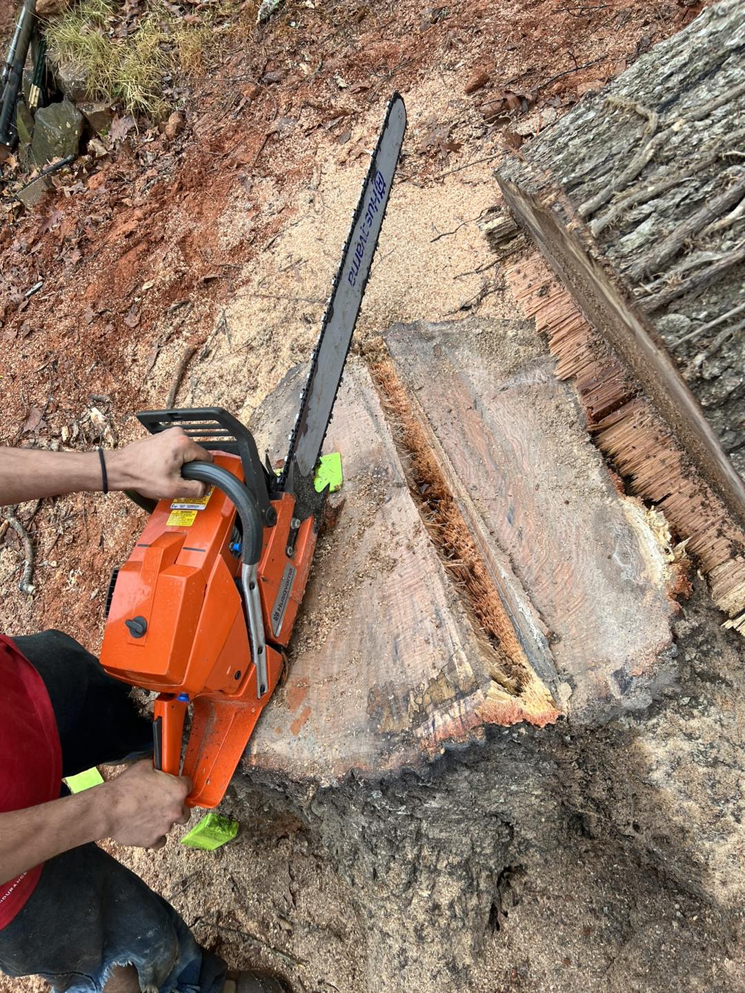 Stump Grinding vs. Removal: Best Choice in Spartanburg