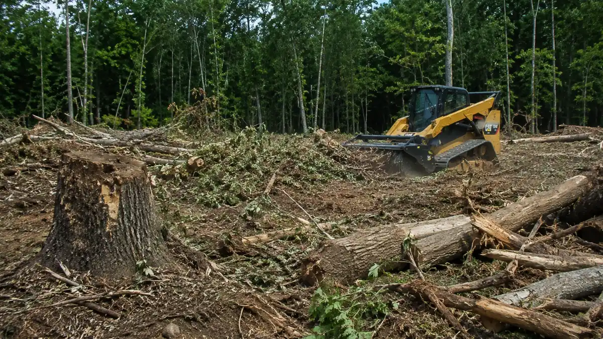 Land Clearing Spartanburg SC | Tanner's Legendary 2026