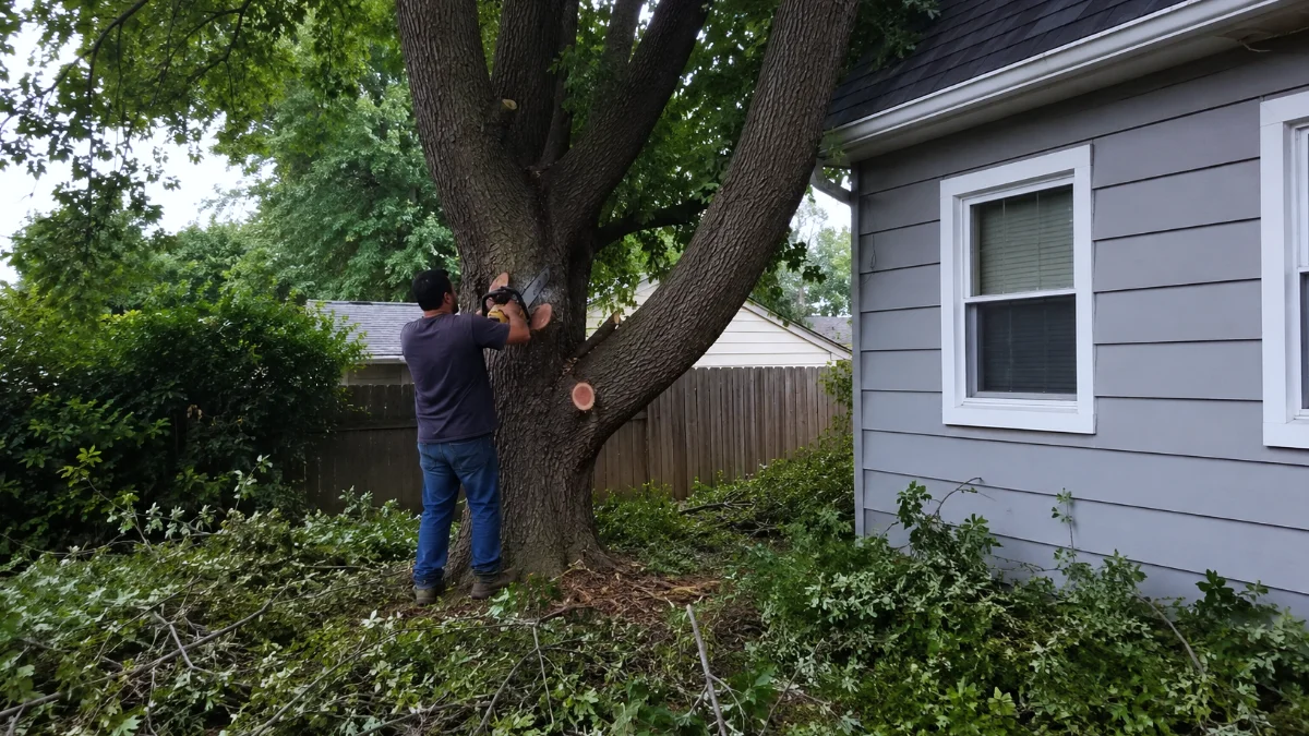 Tree Service Insurance Requirements Spartanburg SC 2026