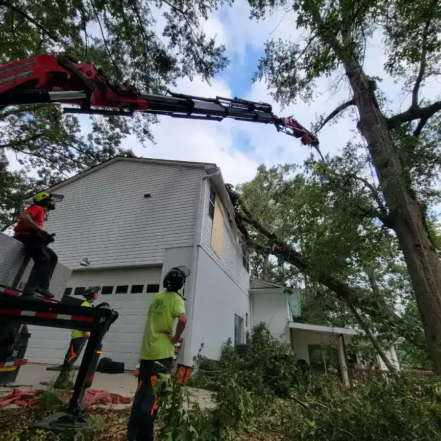 Emergency Tree Removal in Boiling Springs, SC Tanner’s Tree Service