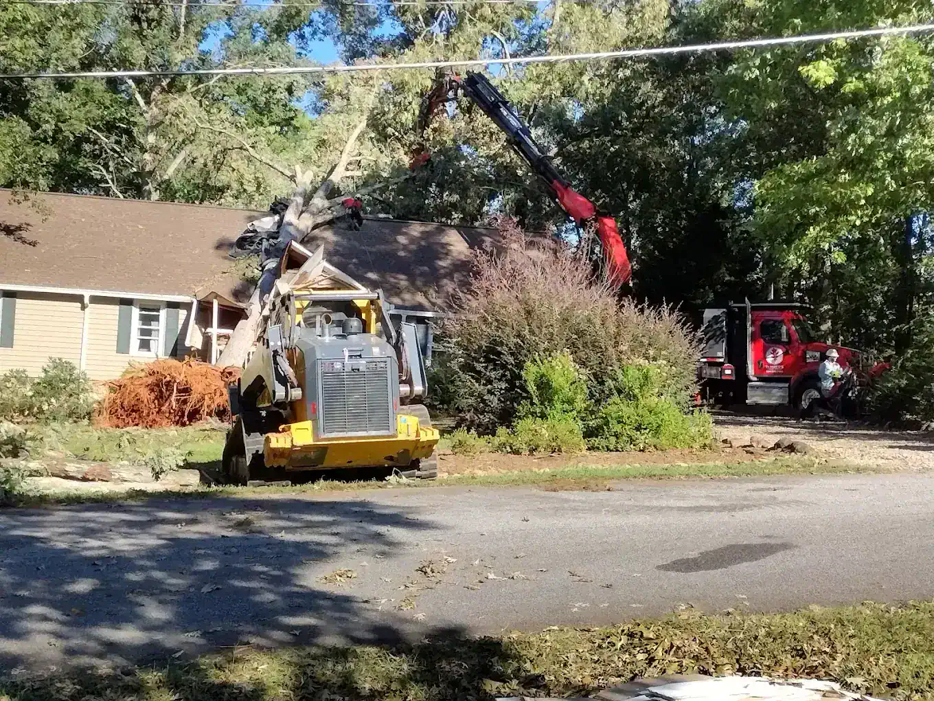 Emergency Tree Removal in Inman, SC Tanner's Legendary Tree Service