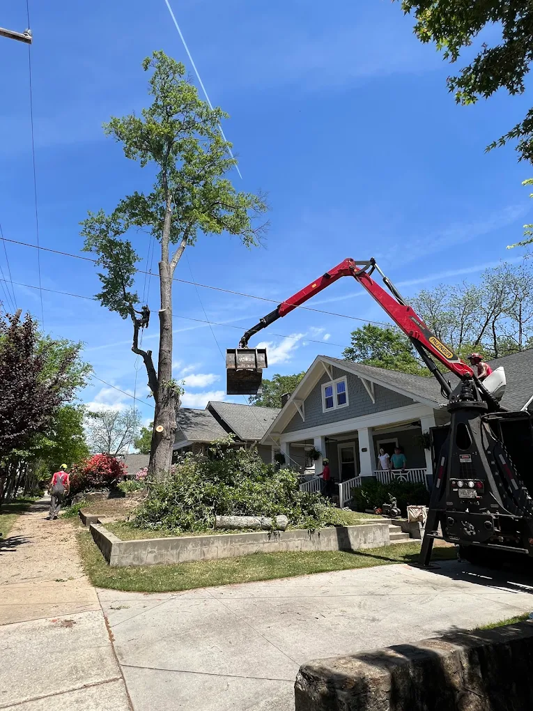 Large tree limbs safely removed over a garage in Boiling Springs SC