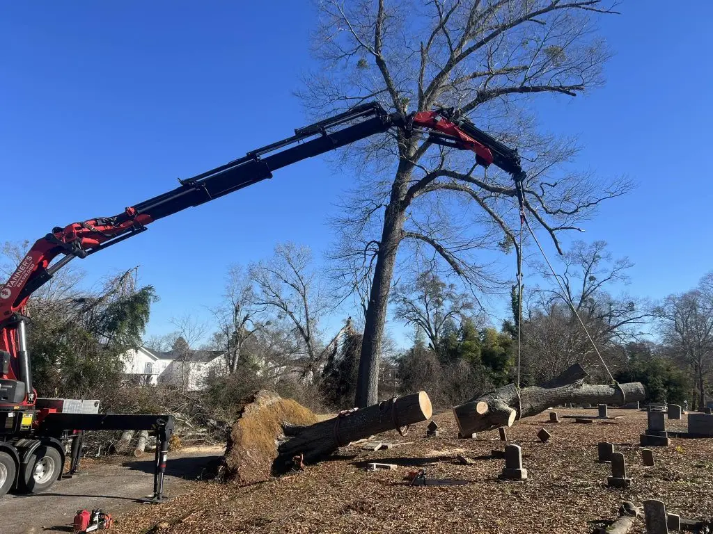 Tanner's Legendary Tree Service crane removing a large fallen tree from a cemetery during storm cleanup in Upstate South Carolina